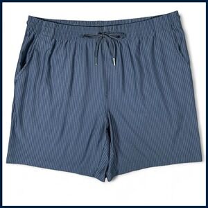 Thom Aaron Mens L Blue Stripe Shorts Ribbed Stretch Quiet Luxury Athletic Active